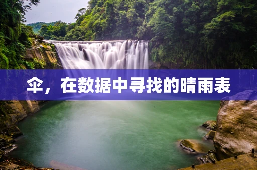 伞，在数据中寻找的晴雨表