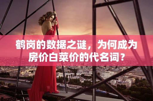 鹤岗的数据之谜，为何成为房价白菜价的代名词？