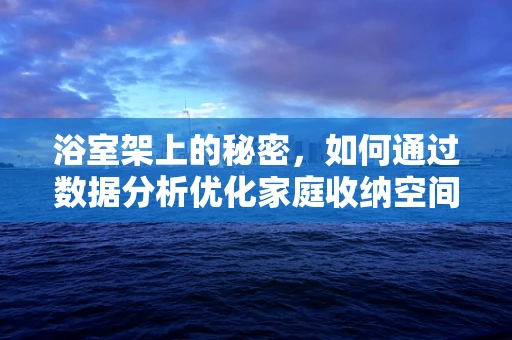 浴室架上的秘密，如何通过数据分析优化家庭收纳空间？