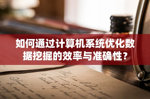 如何通过计算机系统优化数据挖掘的效率与准确性？