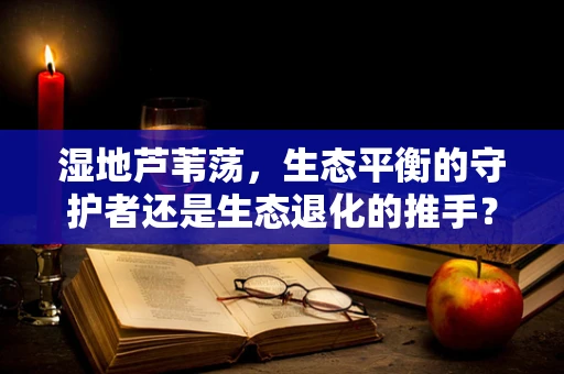 湿地芦苇荡，生态平衡的守护者还是生态退化的推手？