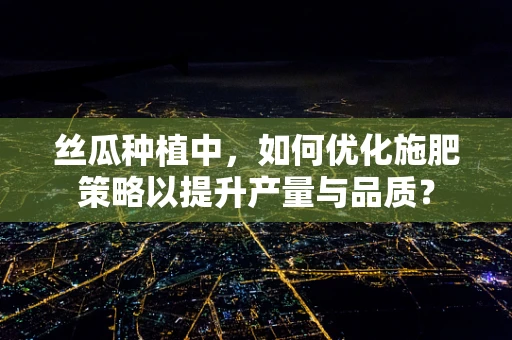 丝瓜种植中，如何优化施肥策略以提升产量与品质？