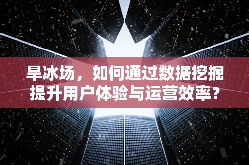 旱冰场，如何通过数据挖掘提升用户体验与运营效率？
