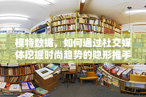 模特数据，如何通过社交媒体挖掘时尚趋势的隐形推手？