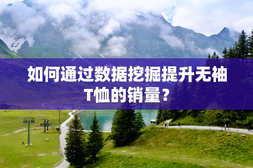 如何通过数据挖掘提升无袖T恤的销量？