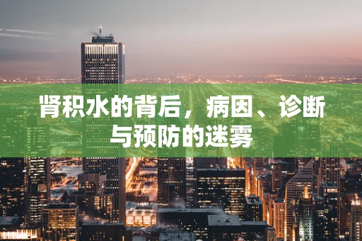肾积水的背后，病因、诊断与预防的迷雾
