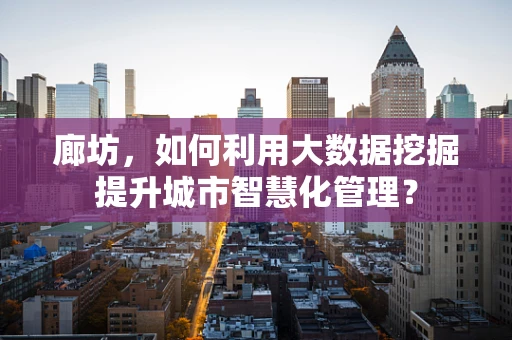 廊坊，如何利用大数据挖掘提升城市智慧化管理？