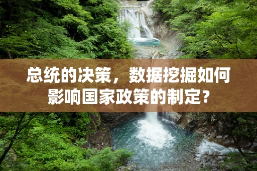 总统的决策，数据挖掘如何影响国家政策的制定？