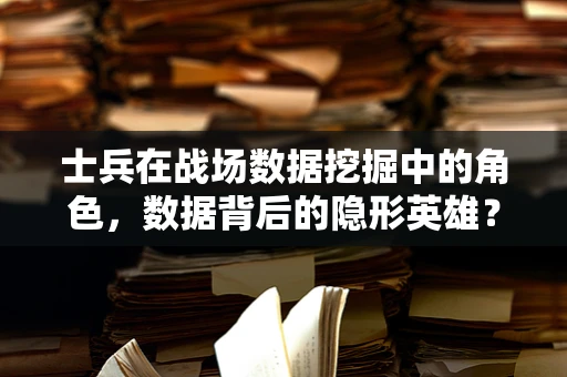 士兵在战场数据挖掘中的角色，数据背后的隐形英雄？