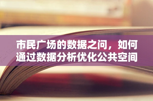 市民广场的数据之问，如何通过数据分析优化公共空间使用效率？