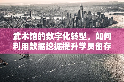 武术馆的数字化转型，如何利用数据挖掘提升学员留存率？