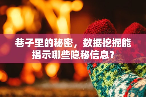 巷子里的秘密，数据挖掘能揭示哪些隐秘信息？