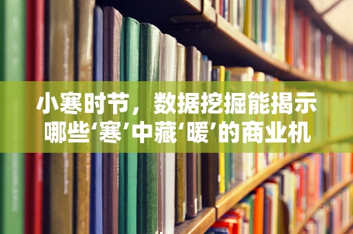 小寒时节，数据挖掘能揭示哪些‘寒’中藏‘暖’的商业机遇？