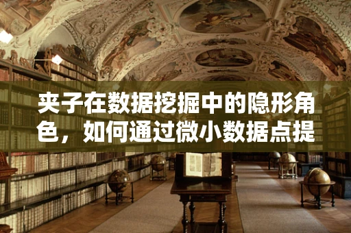 夹子在数据挖掘中的隐形角色，如何通过微小数据点提升信息提取效率？
