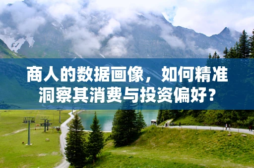 商人的数据画像，如何精准洞察其消费与投资偏好？