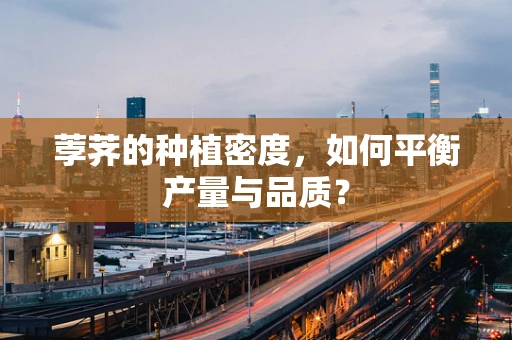 荸荠的种植密度，如何平衡产量与品质？