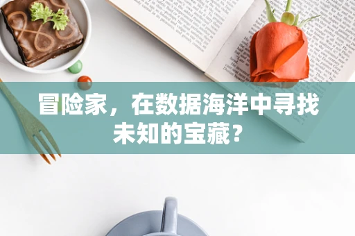 冒险家，在数据海洋中寻找未知的宝藏？