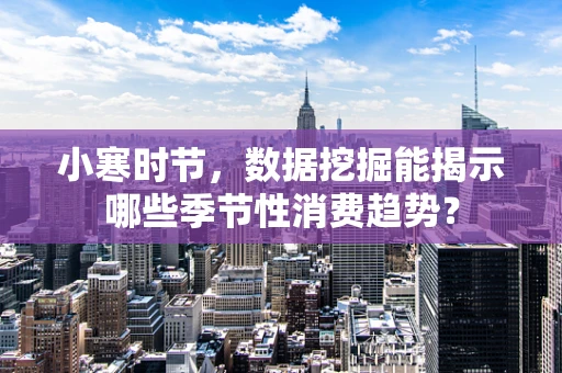 小寒时节，数据挖掘能揭示哪些季节性消费趋势？