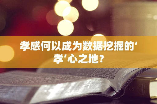 孝感何以成为数据挖掘的‘孝’心之地？