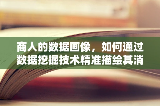商人的数据画像，如何通过数据挖掘技术精准描绘其消费行为与偏好？