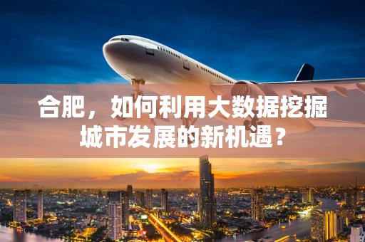 合肥，如何利用大数据挖掘城市发展的新机遇？