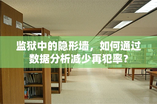 监狱中的隐形墙，如何通过数据分析减少再犯率？