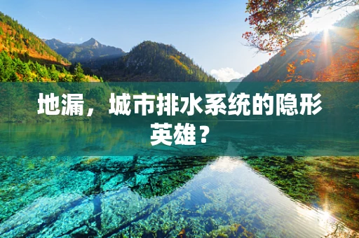 地漏，城市排水系统的隐形英雄？