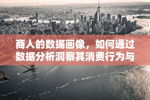 商人的数据画像，如何通过数据分析洞察其消费行为与决策模式？