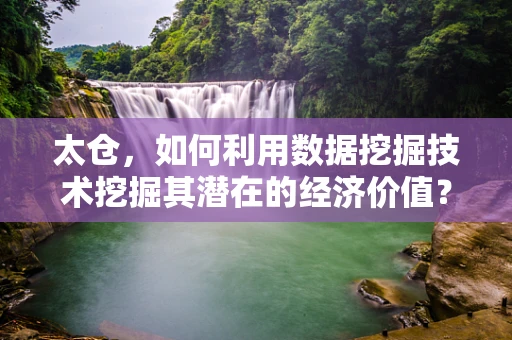 太仓，如何利用数据挖掘技术挖掘其潜在的经济价值？