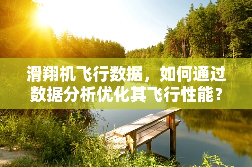 滑翔机飞行数据，如何通过数据分析优化其飞行性能？