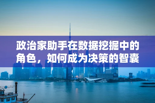 政治家助手在数据挖掘中的角色，如何成为决策的智囊团？