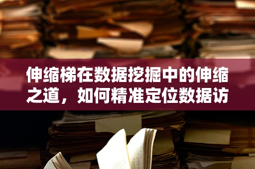 伸缩梯在数据挖掘中的伸缩之道，如何精准定位数据访问权限？