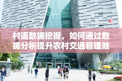 村道数据挖掘，如何通过数据分析提升农村交通管理效率？