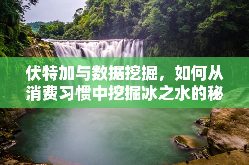 伏特加与数据挖掘，如何从消费习惯中挖掘冰之水的秘密？