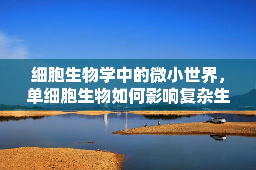 细胞生物学中的微小世界，单细胞生物如何影响复杂生物体的功能？