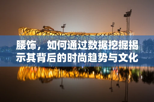 腰饰，如何通过数据挖掘揭示其背后的时尚趋势与文化意义？