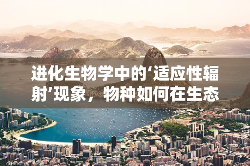 进化生物学中的‘适应性辐射’现象，物种如何在生态位中创新求生？