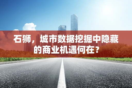 石狮，城市数据挖掘中隐藏的商业机遇何在？