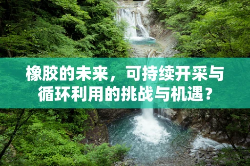 橡胶的未来，可持续开采与循环利用的挑战与机遇？
