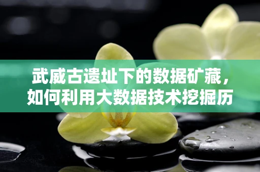 武威古遗址下的数据矿藏，如何利用大数据技术挖掘历史信息？