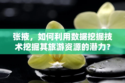 张掖，如何利用数据挖掘技术挖掘其旅游资源的潜力？