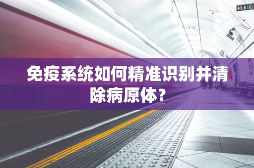 免疫系统如何精准识别并清除病原体？