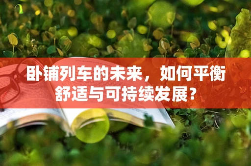 卧铺列车的未来，如何平衡舒适与可持续发展？