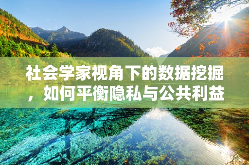 社会学家视角下的数据挖掘，如何平衡隐私与公共利益？