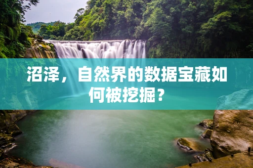 沼泽，自然界的数据宝藏如何被挖掘？