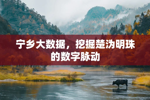 宁乡大数据，挖掘楚沩明珠的数字脉动
