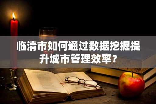 临清市如何通过数据挖掘提升城市管理效率？