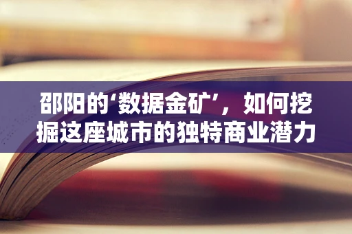 邵阳的‘数据金矿’，如何挖掘这座城市的独特商业潜力？