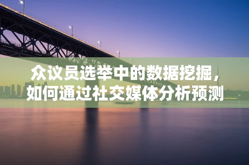 众议员选举中的数据挖掘，如何通过社交媒体分析预测投票倾向？