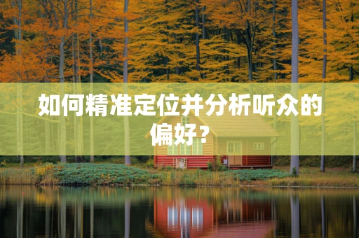 如何精准定位并分析听众的偏好？